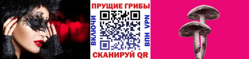 Псилоцибиновые грибы Psilocybe  даркнет формула  Назрань 