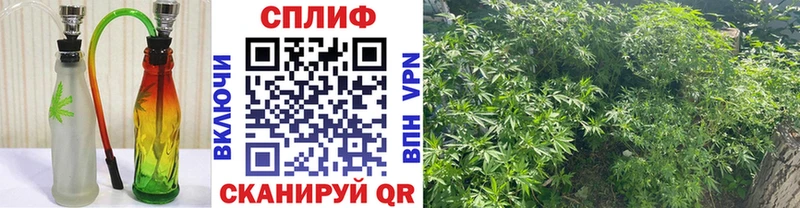МЕГА как войти  Назрань  Канабис марихуана  закладки 